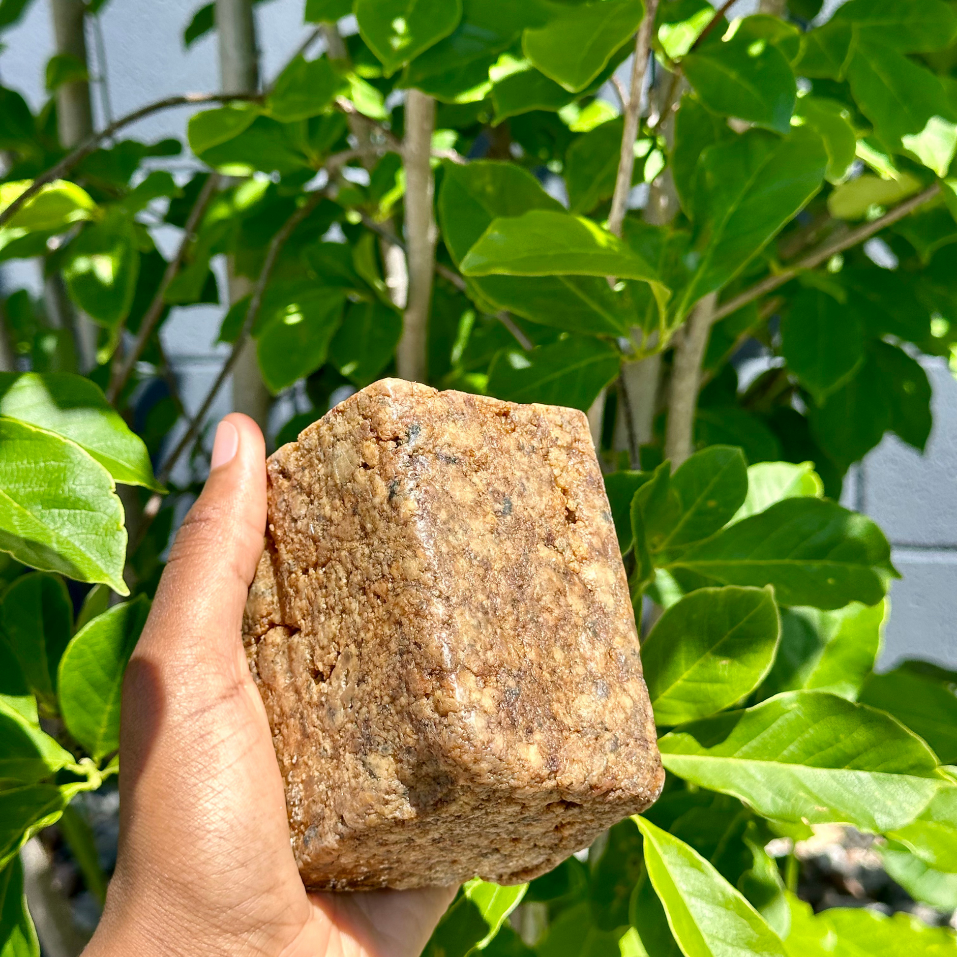 Organic African Black Soap bar close-up